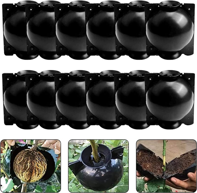ZUCKBOX 12 PCS Plant Root Growing Box, Reusable Air Layering Propagation Kit Rooting Ball Grafting Tools for Plant Propagation (4S+4M+4L) - Image 2
